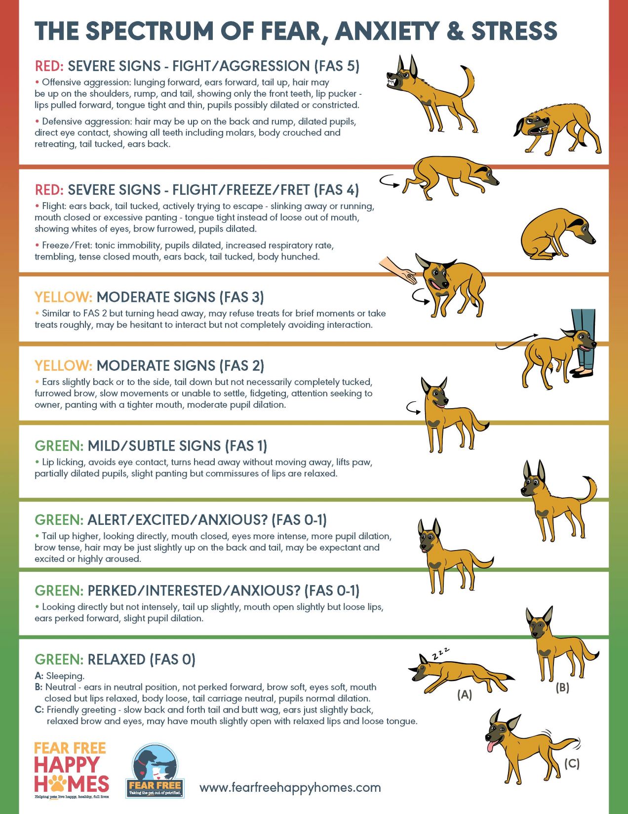 Aggressive Dog Behavior Modification | Calvert Dog Academy